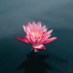 Tạo nhân để kiếp sau sinh ra trong yên ổn tao-nhan-de-kiep-sau-duoc-sinh-ra-trong-yen-on