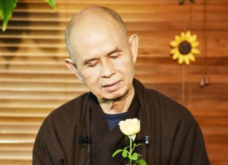 Thầy Ơi, Thầy Về Thăm Quê Mẹ Thật Rồi thay oi thay ve tham que me that roi