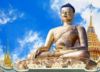 Tiểu kinh nghiệp phân biệt tieu-kinh-nghiep-phan-biet