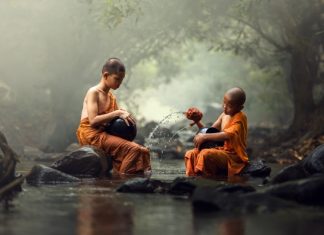 Tình Thương Chân Thật Làm Thức Tỉnh Một Con Người tinh thuong chan that lam thuc tinh mot con nguoi