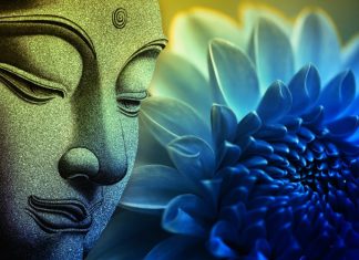 Trí tuệ với lòng từ bi tri-tue-voi-long-tu-bi