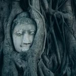 Ung nhọt của thân thể ung-nhot-cua-than-the