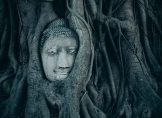 Ung nhọt của thân thể ung-nhot-cua-than-the