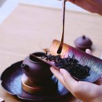 Vị Trà Sư Và Kẻ Mưu Sát vi tra su va ke muu sat 1