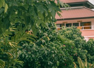 Vị Tỳ Kheo bị kết tội trộm cắp vi-ty-kheo-bi-ket-toi-trom-cap
