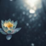 Bài học về sự đánh giá zoltan-tasi-vHnVtLK8rCc-unsplash
