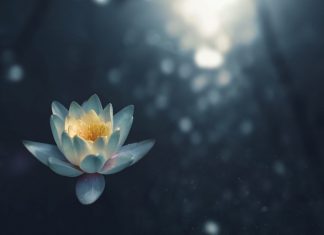 Bài học về sự đánh giá zoltan-tasi-vHnVtLK8rCc-unsplash