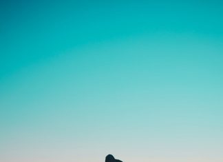Mưu sự tại nhân thành sự tại thiên aldain austria v0zVmWULYTg unsplash