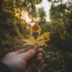 Nhân duyên – nghiệp duyên anthony intraversato 5WYkd62XxTo unsplash 1
