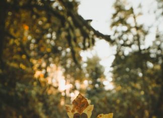 Nhân duyên – nghiệp duyên anthony intraversato 5WYkd62XxTo unsplash 1