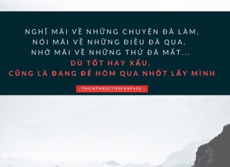 Cuộc sống nhìn từ ô cửa thiền (1) cuoc song nhin tu o cua thien 1