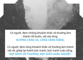 Cuộc sống nhìn từ ô cửa thiền (11) cuoc song nhin tu o cua thien 11