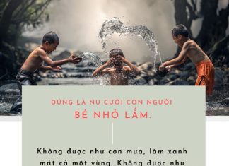 Cuộc sống nhìn từ ô cửa thiền (13) cuoc song nhin tu o cua thien 13