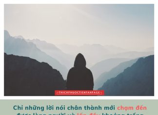 Cuộc sống nhìn từ ô cửa thiền (14) cuoc song nhin tu o cua thien 14