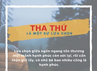 Cuộc sống nhìn từ ô cửa thiền (15) cuoc song nhin tu o cua thien 15