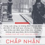 Cuộc sống nhìn từ ô cửa thiền (18) cuoc song nhin tu o cua thien 18