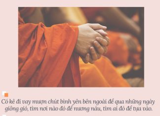 Cuộc sống nhìn từ ô cửa thiền (19) cuoc song nhin tu o cua thien 19