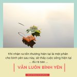 Cuộc sống nhìn từ ô cửa thiền (20) cuoc song nhin tu o cua thien 20
