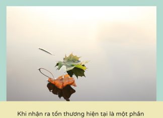 Cuộc sống nhìn từ ô cửa thiền (20) cuoc song nhin tu o cua thien 20