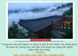 Cuộc sống nhìn từ ô cửa thiền (22) cuoc song nhin tu o cua thien 22