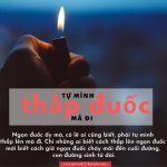Cuộc sống nhìn từ ô cửa thiền (23) cuoc song nhin tu o cua thien 23