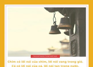Cuộc sống nhìn từ ô cửa thiền (24) cuoc song nhin tu o cua thien 24