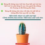 Cuộc sống nhìn từ ô cửa thiền (25) cuoc song nhin tu o cua thien 25