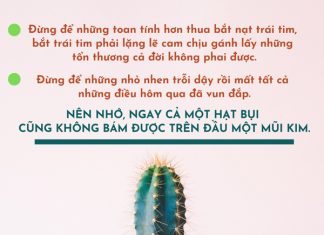 Cuộc sống nhìn từ ô cửa thiền (25) cuoc song nhin tu o cua thien 25