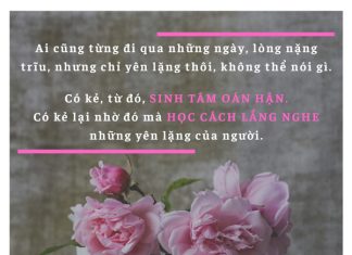 Cuộc sống nhìn từ ô cửa thiền (8) cuoc song nhin tu o cua thien 8