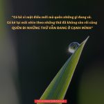 Lời Kinh trong lòng bàn tay (1) loi kinh trong long ban tay 1