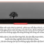 Lời Kinh trong lòng bàn tay (3) loi kinh trong long ban tay 3