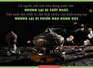 Lời Kinh trong lòng bàn tay (33) loi kinh trong long ban tay 33