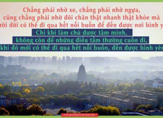 Lời Kinh trong lòng bàn tay (34) loi kinh trong long ban tay 34