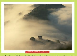 Lời Kinh trong lòng bàn tay (43) loi kinh trong long ban tay 43