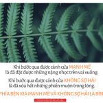 Lời Kinh trong lòng bàn tay (5) loi kinh trong long ban tay 5