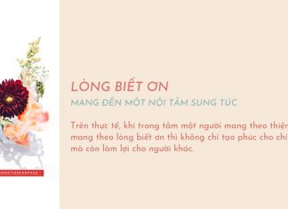 Lòng biết ơn mang đến một nội tâm sung túc long biet on mang den noi tam sung tuc