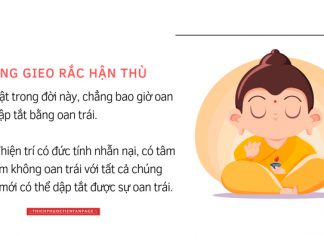 Oan trái oan han