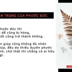 Tầm quan trọng của phước đức tam quan trong cua phuoc duc