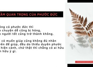 Tầm quan trọng của phước đức tam quan trong cua phuoc duc