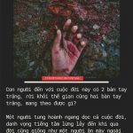 Đã biết vô thường, sao còn phiền não? thich phuoc tien da biet vo thuong sao con phien nao