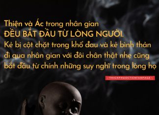 Lời Kinh trong lòng bàn tay (19) thich phuoc tien loi kinh tring long ban tay 19