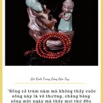 Lời Kinh trong lòng bàn tay (24) thich phuoc tien loi kinh tring long ban tay 24