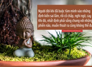 Lời Kinh trong lòng bàn tay (27) thich phuoc tien loi kinh tring long ban tay 27