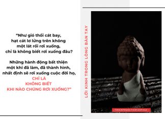 Lời Kinh trong lòng bàn tay (12) thich phuoc tien loi kinh trong long ban tay 12