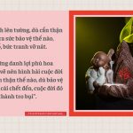 Lời Kinh trong lòng bàn tay (13) thich phuoc tien loi kinh trong long ban tay 13