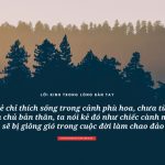 Lời Kinh trong lòng bàn tay (14) thich phuoc tien loi kinh trong long ban tay 14