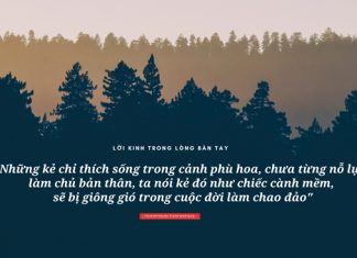 Lời Kinh trong lòng bàn tay (14) thich phuoc tien loi kinh trong long ban tay 14