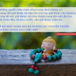 Lời Kinh trong lòng bàn tay (16) thich phuoc tien loi kinh trong long ban tay 16