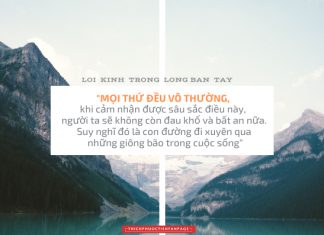 Lời Kinh trong lòng bàn tay (17) thich phuoc tien loi kinh trong long ban tay 17
