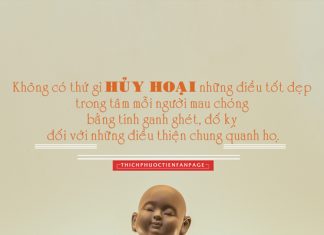 Lời Kinh trong lòng bàn tay (29) thich phuoc tien loi kinh trong long ban tay 29 1